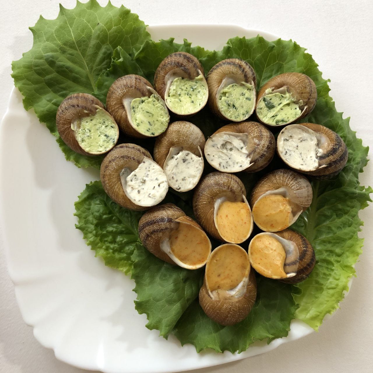escargot with snail meat assorted